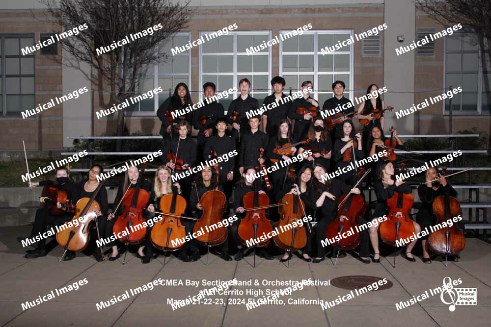 Musical Images